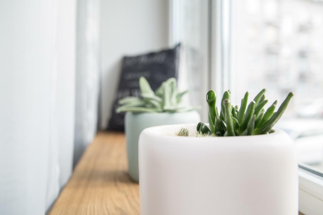 Downtown Apartment Rentals 2 Šiauliai Екстериор снимка
